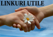 links_icon